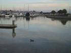 The Marina in Benicia