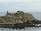Monterey Ocean Rocks!!