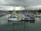 The Boats in Monterey