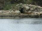 The Cave - Looking from Fisherman's Grotto