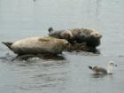 Welcome to Monterey, California
