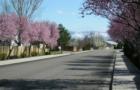 Chateau Meadows in early spring