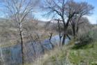 early spring by Boise River in SE Boise