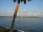 Come enjoy Clearwater Beach, home to luxury homes & condos, including waterfront homes & oceanfront condos. 