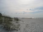 Come enjoy North Clearwater Beach, home to luxury homes including waterfront homes & oceanfront too. 