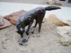 The Wolfpack is roaming freely - next to the Denver Museum of Natural History.