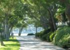 A path from the South Lake lagoon in Woodbridge.  I love the view!