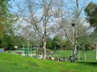 University Park's Community Park on a warm summer day...