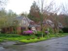 Montlake Tudor homes in spring time