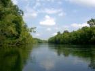 Canel