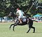 Colts Neck Polo is alive and well.  You can catch a Polo game at Bucks Mill Park in Colts Neck.