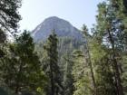 Suicide Rock seen from Humber Park, the start of one of the more difficult hiking trails.
