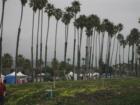 Santa Barbara's Arts & Crafts show, Sundays on Cabrillo. Photo by Lynda Eisenmann