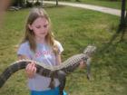 Aligator Alley, Foley, Alabama