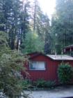Mountain Cabin Felton