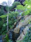 Capitola - Shadowbrook Inn
