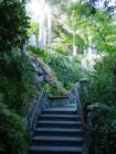 Capitola - Stairway to Heaven