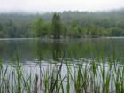 The Quiet Lake