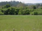 Open Fields