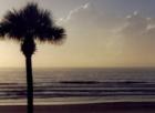 Beautiful Ponte Vedra Beach, FL