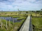 Marsh Landing 