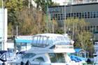 Fish Cafe in Kirkland