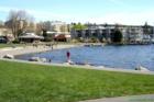 Marina Park, Kirkland, Washington