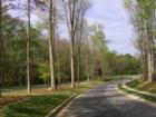 View of Kings Manor Drive going into Highgate