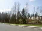 A green belt picture looking west and towards another section of the Berrywoods neighborhood in Marysville Washington.