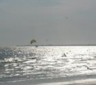 FMB in Spring, FL