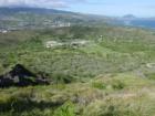 View Inside Diamond Head