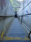 The Climb To Diamond Head