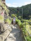 The Climb