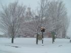 Court House In Houlton cloaked by fine snow!