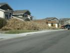 Native landscaping?  Nope, just what happens when the tumbleweeds are in bloom and the winds kick up.  This was an extremely unusual event but worth the photo.