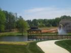 Gazebo at Wren Meadow.