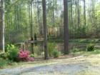 A small community pond in the Laurel Thicket section of Carolina Trace.  The perfect place to go fishing on a quiet afternoon or an evening stroll after a long day at work or on the golf course.