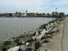 Best Salmon Fishing in Benicia