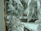 This is Spring?