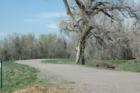 HighLine Canal Trail, running through Greenwood Village, Colorado - near the Preserve neighborhood
