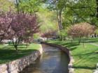 The Berkeley Springs Park in full bloom