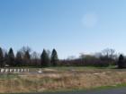 Churchill Woods in Early Spring