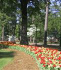 Carolina Golf & Tennis Resort in Spring