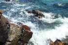 Atlantic Ocean