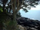 Marginal Way