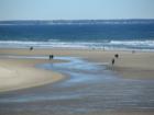 Ogunquit