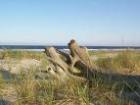 wells beach