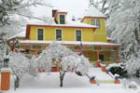 Saratoga Rose in the Winter, such a beautiful place