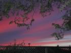 Sonoma Sunset