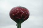 Rosemont IL 